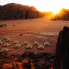 wadirum hostel