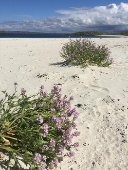 isle of lewis