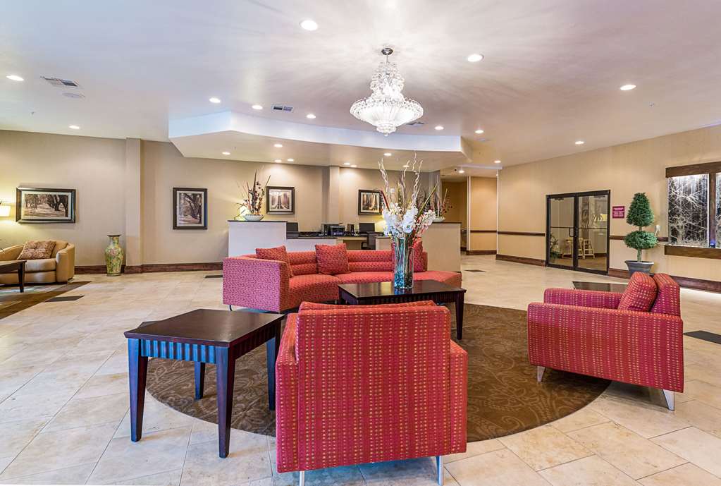 comfort suites