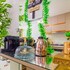 makambira residence by summerflats