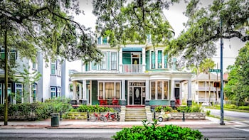 savannah