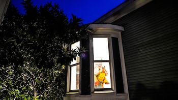 Isetta Inn (Boutique Hostel),,2 star