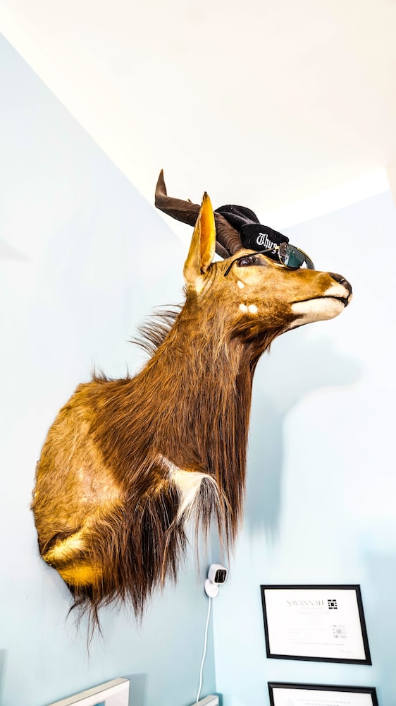 isetta inn boutique hostel