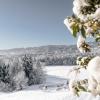 schwanberg