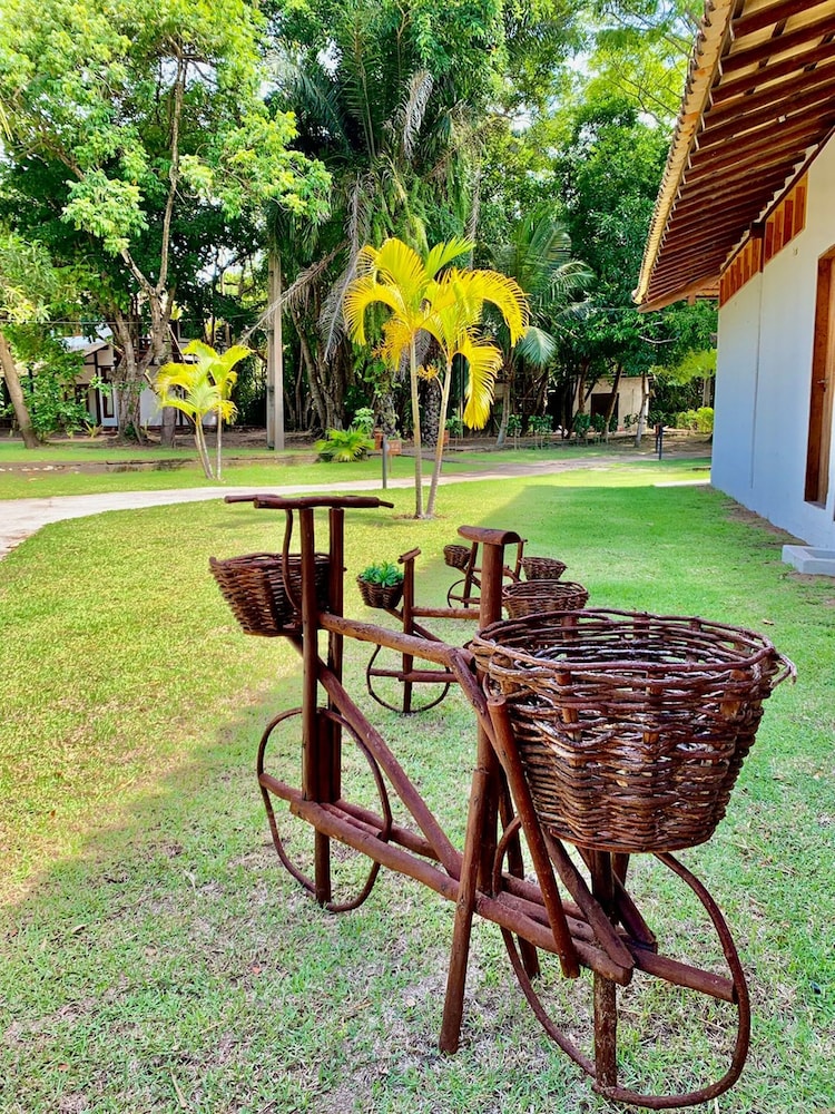 quarto no vivant ecobeach resort