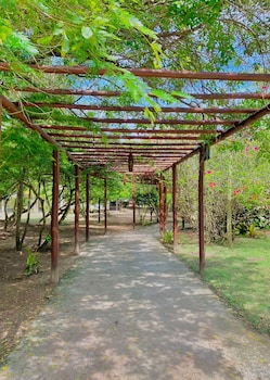 quarto no vivant ecobeach resort