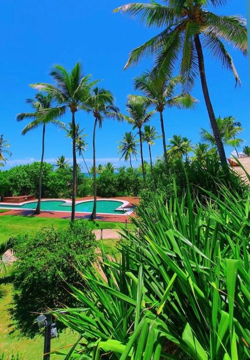 quarto no vivant ecobeach resort
