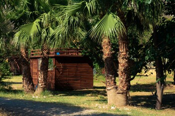 kelebekler vadisi butterfly valley