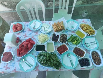 kaplan pansiyon