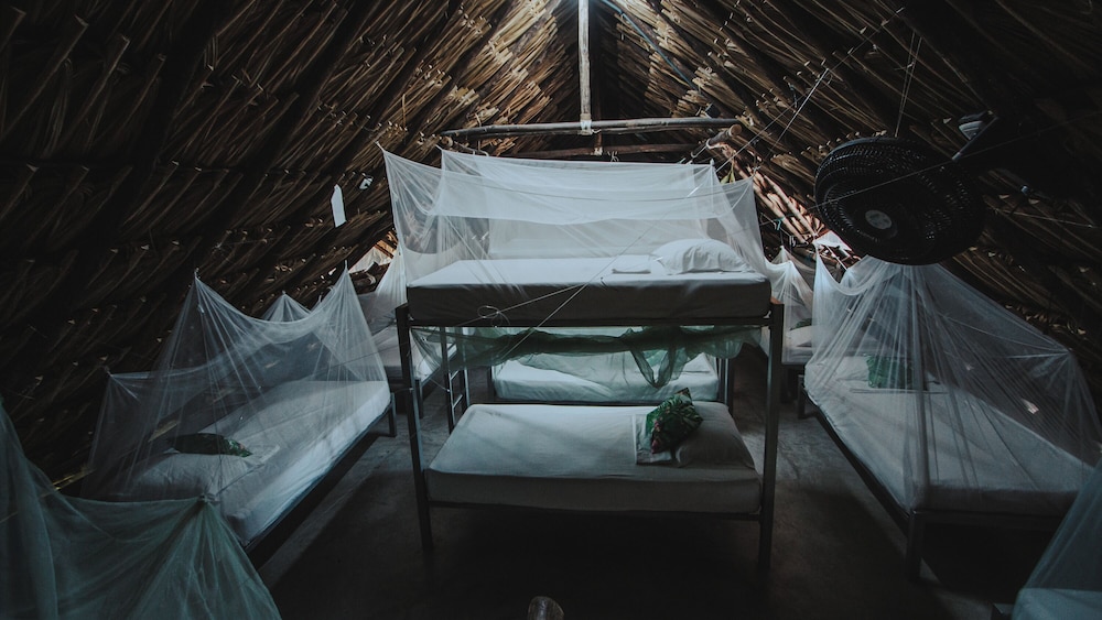 makenke hostel by los colores ecoparque