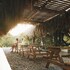 puerto triunfo