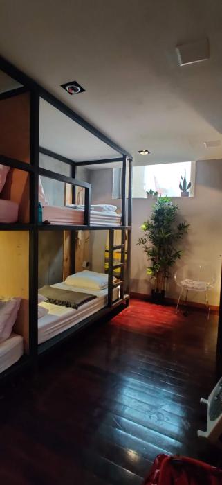 caruma surf hostel and suites