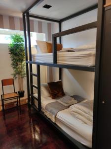 caruma surf hostel and suites
