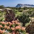 baglioni resort sardinia the leading hotels of the world