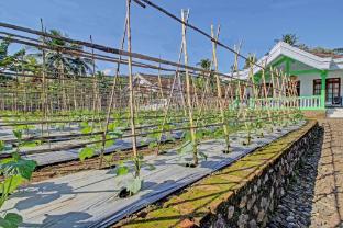 spot on 91214 desa wisata pandean