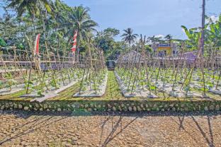 spot on 91214 desa wisata pandean