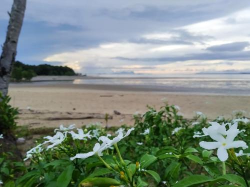rafflesia resort