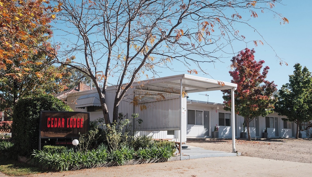 cedar lodge