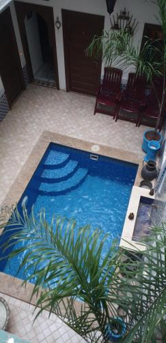 riad nouhal