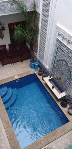 riad nouhal
