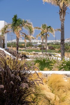naxos