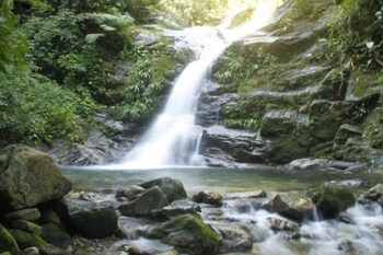 maresias