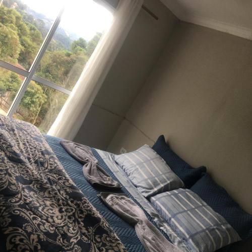 aconchego das flores