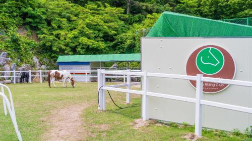 tongyoung sandeulhae healling pension