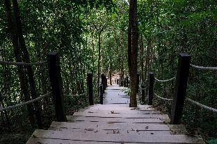 ko pha ngan