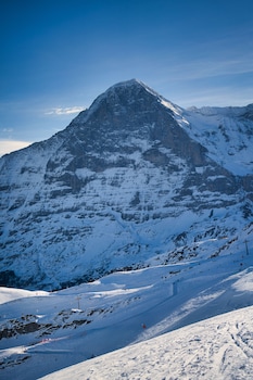 grindelwald