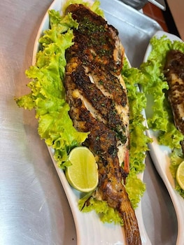 my home hotel punta cana