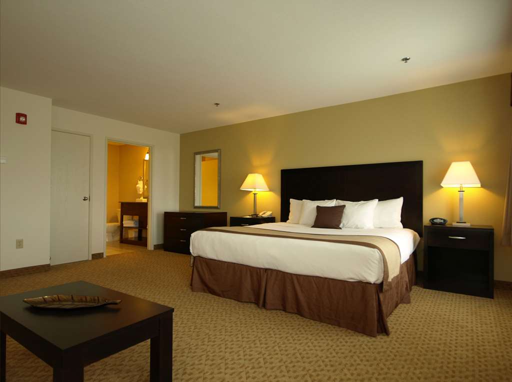 best western plus valdosta hotel and suites