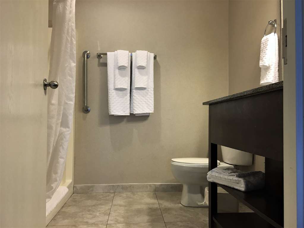 best western plus valdosta hotel and suites