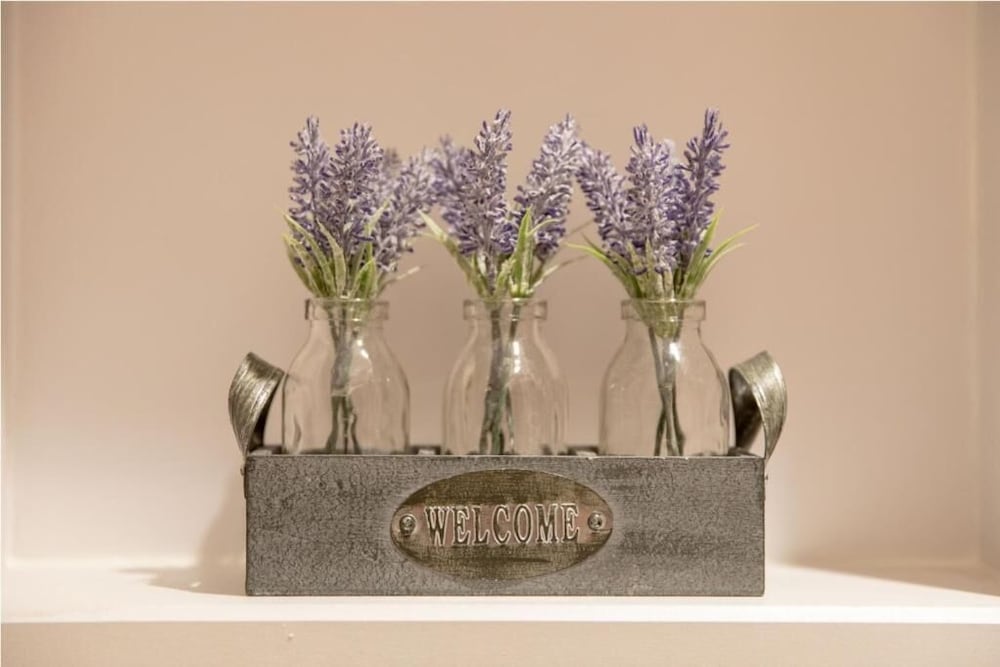 the vanguard york residence