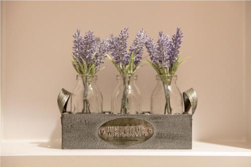 the vanguard york residence