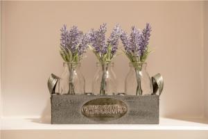 the vanguard york residence