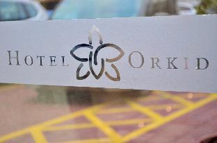 hotel orkid port klang