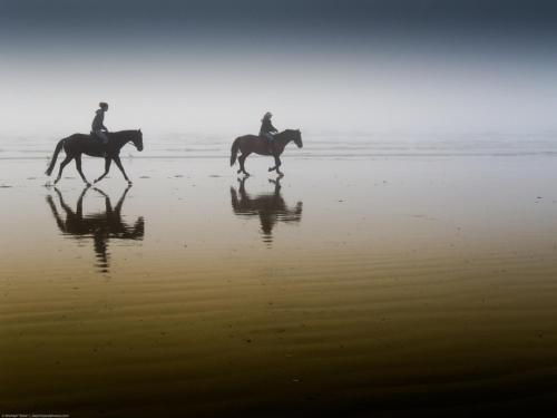 bergen aan zee