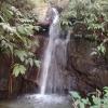 Jharna Tabakoshi - A Nature Paradise By Stayapart,Darjeeling>>Bagdogra,3 star