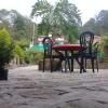Jharna Tabakoshi - A Nature Paradise By Stayapart,Darjeeling>>Bagdogra,3 star