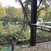 new braunfels
