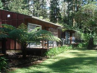 woodlands motel and conference venue