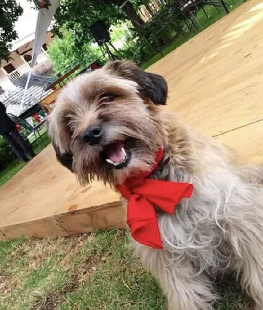 sonesta posadas del inca valle sagrado yucay urubamba