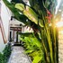 hoi an lake shore homestay