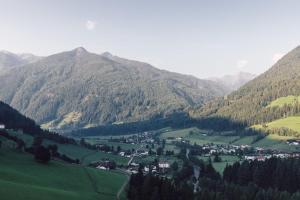 valle aurina