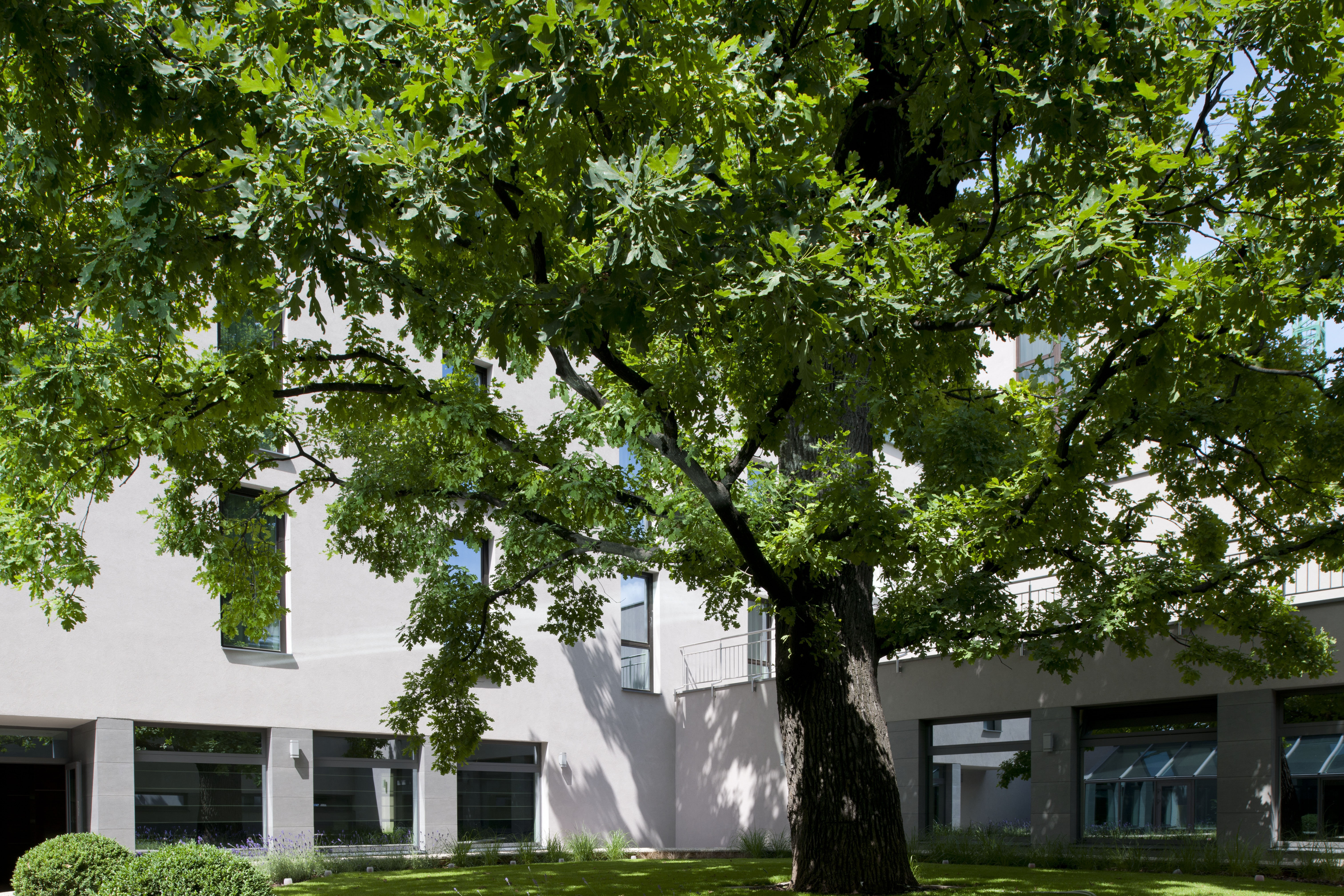 holiday inn trnava an ihg hotel
