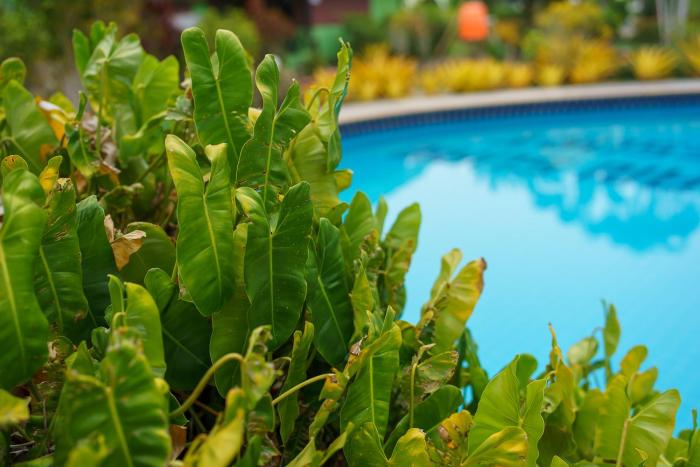 ao nang baan suan resort