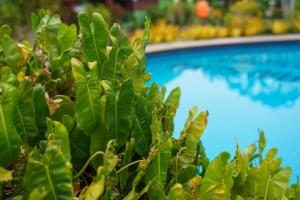 ao nang baan suan resort