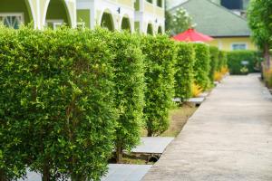 ao nang baan suan resort