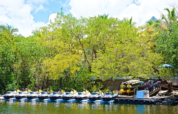 parrot key hotel and villas